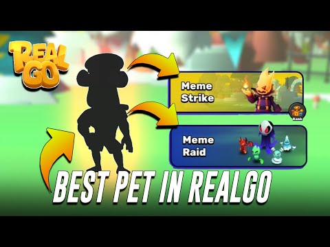 BEST PET IN MEME RAID AND MEME STRIKE REALGO