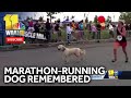 Dozer the marathon-running dog remembered
