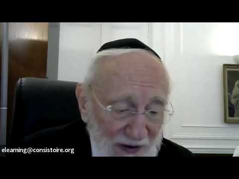 Cours de lundi 07 juillet 2025: Meguila 28 a Rav Michel  GUGENHEIM