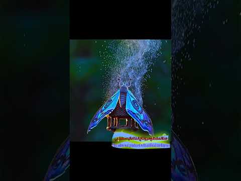 Crazy Fantasy Animal Scenes! You've Never Seen Them in Real Life .