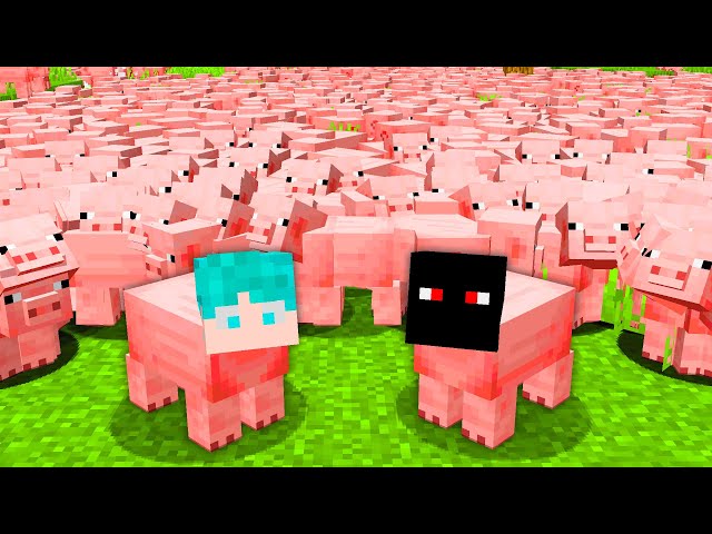 CIVILIZAÇÃO DOS PORCOS NO MINECRAFT