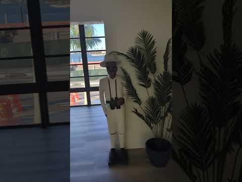 Property video