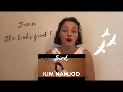 StoryBoard 0 de la vidéo Kim Nam Joo (김남주) 'Bird' MV REACTION                                                                                                                                                                                                                     