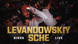 Levandowskiy, SCHE – Birds (Live in Gazgolder)