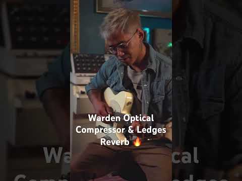 Warden Optical Compressor & Ledges Reverb with EQD’s Video Producer Chris Tran #earthquakerdevices