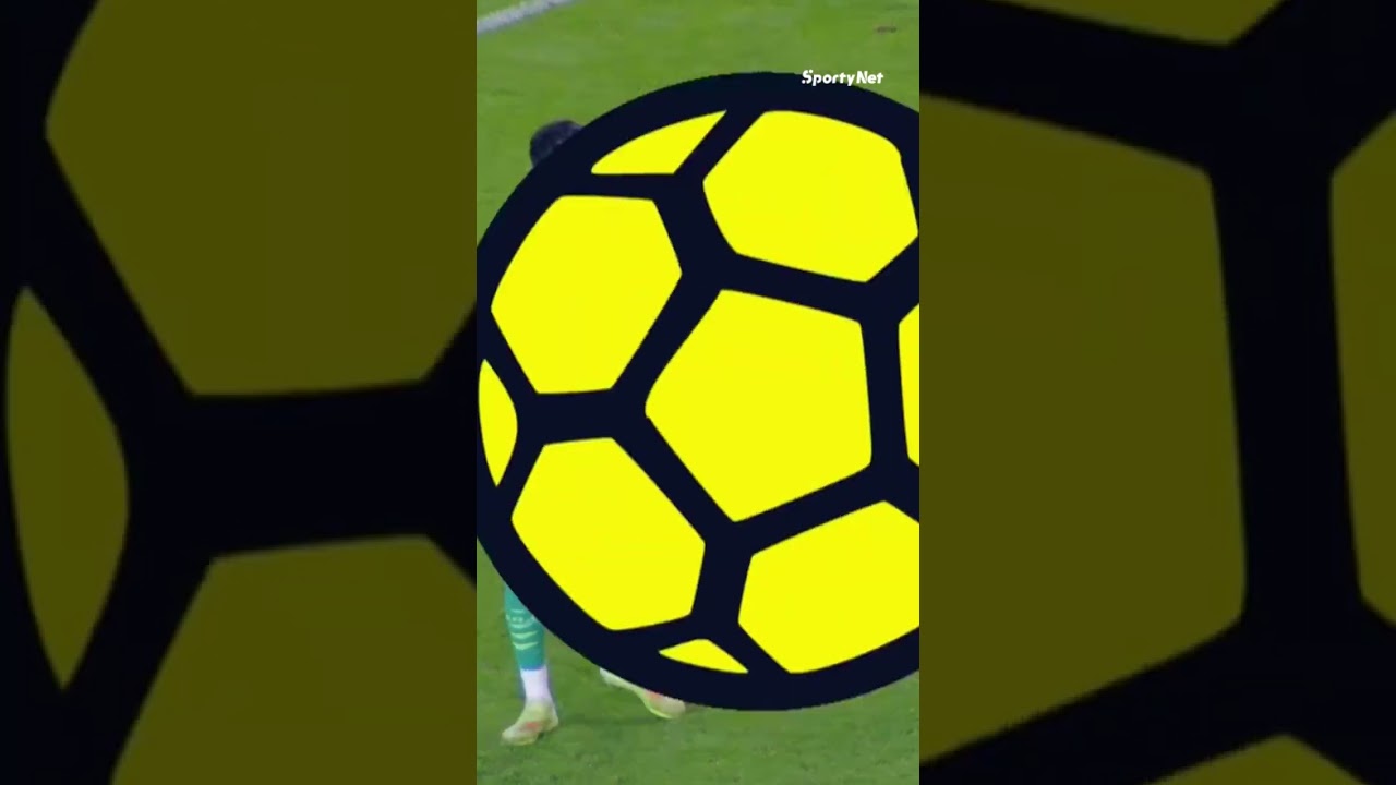 A reação dos dois parecia a de pais vendo o filho fazer besteira: "o que você estava fazendo?!" 🤣