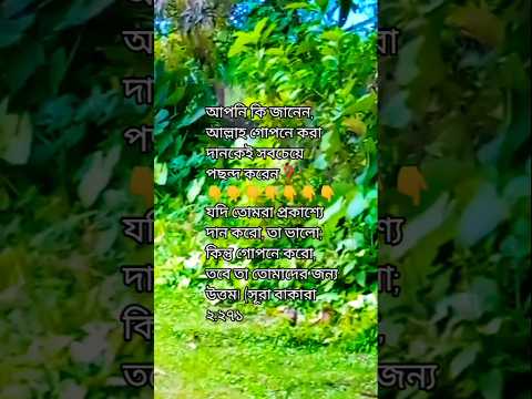 আপনি কি জানেন, আল্লাহ গোপনে করা দানকেই সবচেয়ে পছন্দ করেন❓ #motivation #দোয়া #dailyvlog