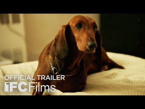 Wiener-Dog'