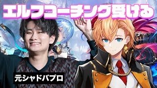 【シャドウバースWB】リグゼさんにエルフのコーチングしていただく