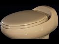 Thetford Aria Classic Gravity RV Toilet