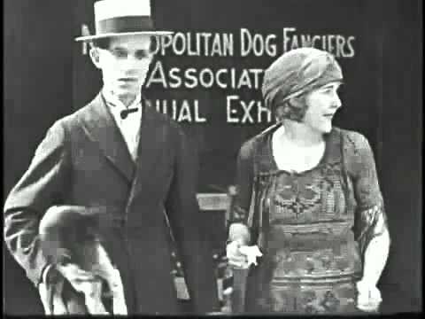 The Lucky Dog'