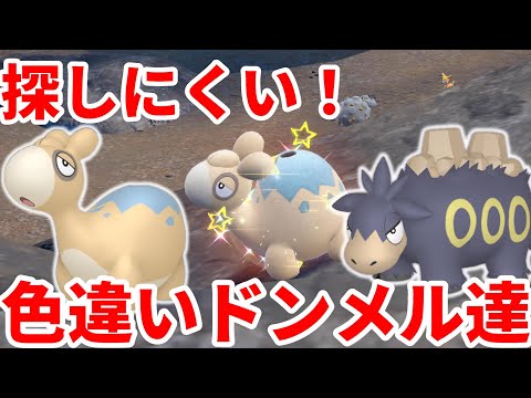 【ポケモンSV】ドンメルの色違いは探しにくい！？おすすめレシピと探し方まとめ【ポケモンスカーレットバイオレット・ゼロの秘宝】