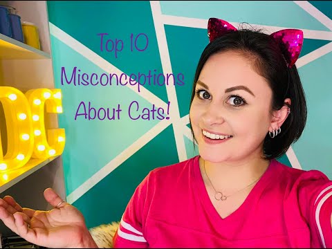 Top 10 Misconceptions About Cats Working in the pet industry I often hear pet parents reiterate a myth regarding their beloved feline