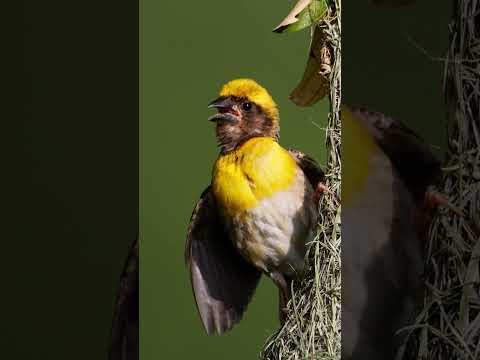 My Top 3 photos of 2025!