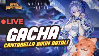 🔴【WUWA】GACHA!! GACHAIN VIEWER!! WHIWA NYA ADA YANG BLOM KELAR?