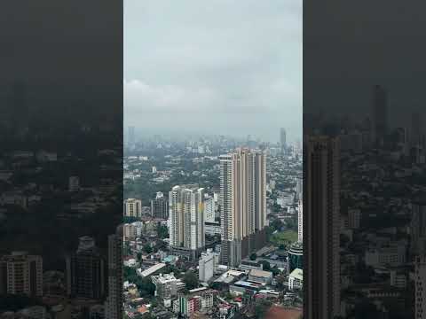 Look who's flying #nature #relaxingmusic #love