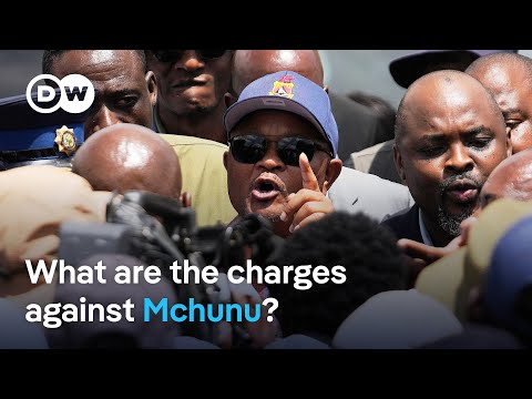 South African police minister Mchunu suspended over alleged corruption | DW News