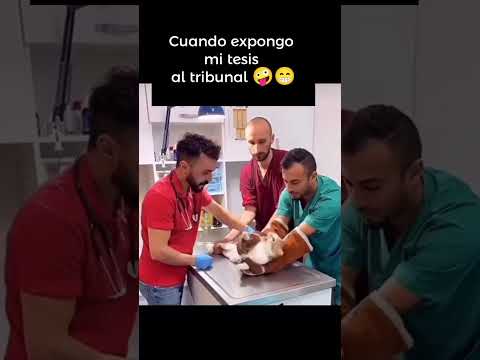 No sufras más Te ayudamos en tu tesis Ecuador para el mundo #tesisecuador #maestriaecuador #nomasapa