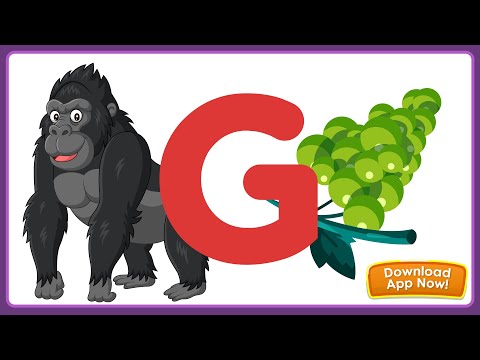 Learn Alphabet: Letter G | Download Keiki App