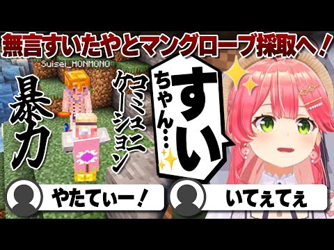 【コメ付き】無言星街すいせいとマングローブゲットの旅に出るさくらみこ【ホロライブ/さくらみこ/切り抜き】 #さくらみこ