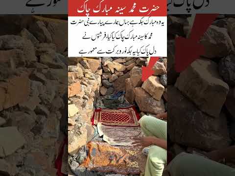 hazrat Muhammad sallallahu alaihi vasllam#trending #shortvideo #islami