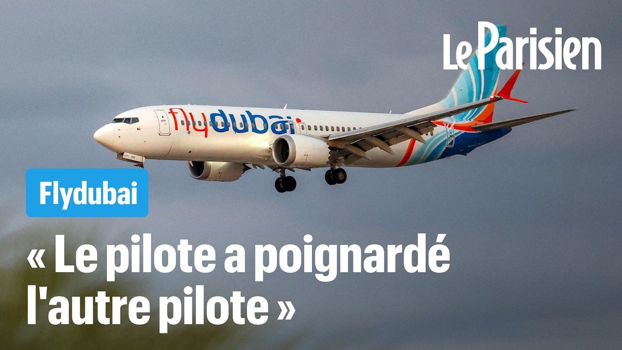 Flydubai : 174 passagers échappent à un crash « terroriste », selon Israël