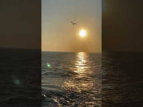 ngày 30 tháng 10, 2025