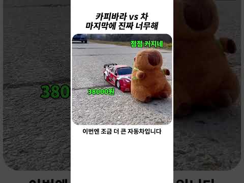 <strong>카피바라</strong> vs 장난감차부터 진짜 차 #<strong>카피바라</strong>