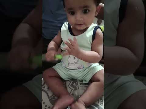 mysha #cat #pets #cute #funny #dudidam #shortsfeed #mysha #dudidudidam #lifeisbutadream #cutebaby