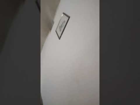 #cartoon #funny #comedy