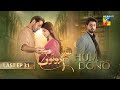 Hum Dono - Last Episode 31 - [CC] - 18th Feb 2025 [ Kinza Hashmi & Azaan Sami ] - HUM TV