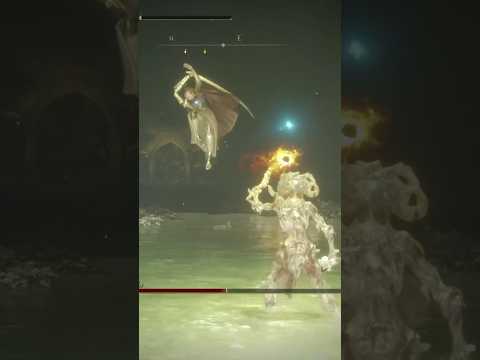 Helping tarnished see! #lightwork #malenia #helping #summon #eldenring #funny