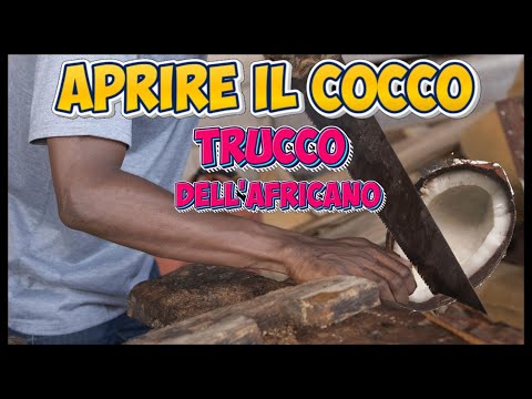 Ecco Come Aprire una NOCE di COCCO senza fatica con il TRUCCO dell'Africano