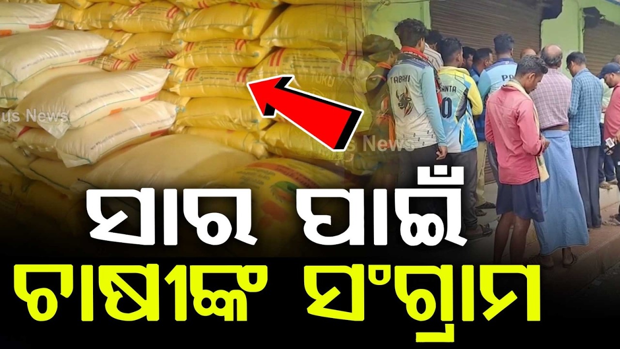 Urea Fertilizer Black Marketing Allegations in Nimapada: Farmers Protest Against Society Secretary