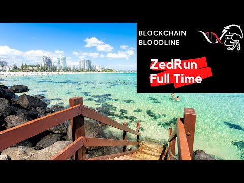 Zed Run, Creating a Full Time Income The Blockchain Bloodline Plan