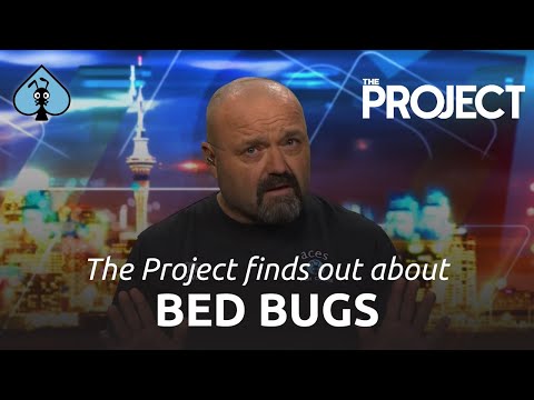 ACES pest control on TV 3s  the Project 