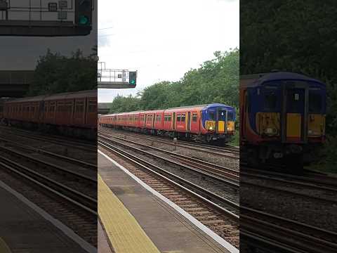 SWR Class 455 Arriving Into Byfleet And New Haw Station (18/07/23) #train #railway