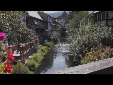 Property video