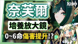 【原神研究室】奈芙爾💚培養放大鏡▸大白腿月綻放大C！綁定菈烏瑪嗎？隊友如何選擇？技能解析/聖遺物/武器/命座/畢業面板! ▹璐洛洛◃