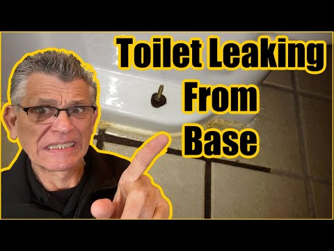 Toilet Leaking From Base
