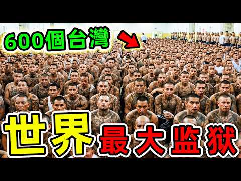 全世界最大的10個監獄！第一名佔地2240萬平方，坐擁1800萬囚犯，比台灣更大600倍。|#世界之最top #世界之最 #環球之最 #腦洞大開 #top10 #最可怕監獄 #最大監獄