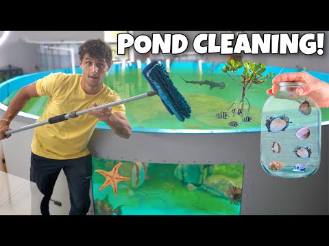CLEANING My 6000G Saltwater Pond + NEW Invertebrat In this video, We clean the entire 6000G saltwater fish pond and add a bunch of new invertebrates!! 