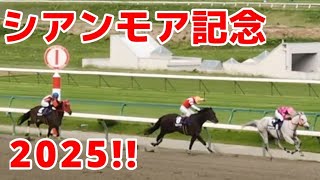 【(元)中央を無礼るなよ】シアンモア記念2025の現地観戦【ヒロシクン】