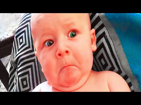 Top Funniest Baby Videos - Laugh hard with babies 2