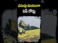 పసుపు మయంగా ఏపీ రోడ్లు | CM Chandrababu Craze In Andhra Pradesh | Shorts | Prime9 News  - 00:50 min - News - Video