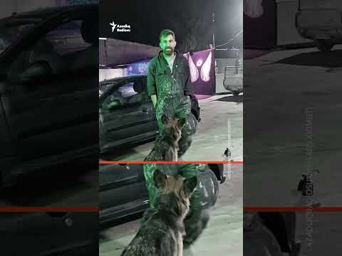 İranlı "Haçiko"nun hekayəsi #shorts #shortsvideo