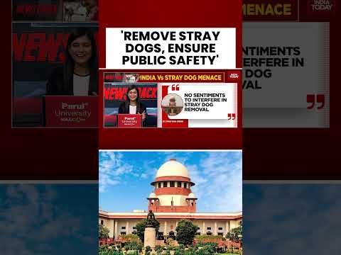 'Remove Stray Dogs, Ensure Public Safety': Supreme Court's Stern Order | #shorts #supremecourt