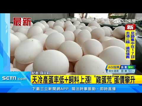 天冷產蛋率低+飼料上漲！「雞蛋荒」蛋價攀升｜三立新聞台