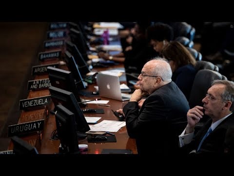 Venezuela's Parallel Ambassador Seated at OAS as Activists Defend Embassy