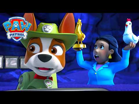 Paw Patrol - N�dzov� zavalenie v jaskyni